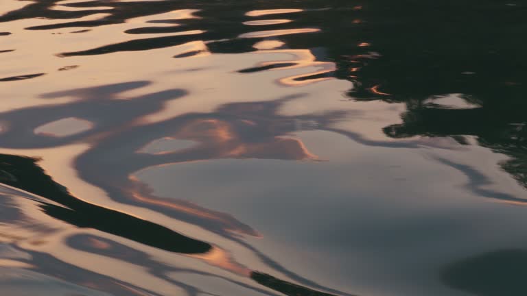 Driving on the calm sea at sunset