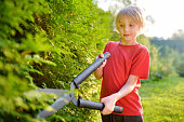 Portrait of cute preteen boy gardener. Child trimming thuja hedge with a pruner in domestic garden on sunny summer day. Kid helping parents with seasonal work in the yard
