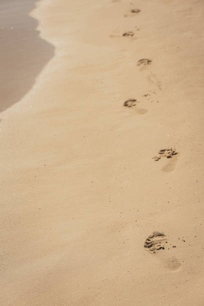 Footprints of shoes on a sandy beach in Galveston, Texas, USA