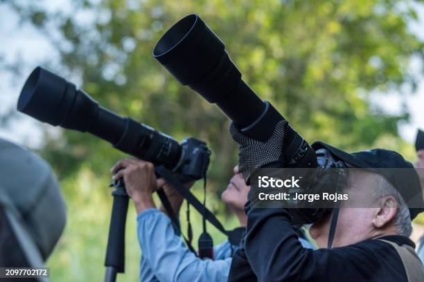 Two Bird Photographers With Long Lenses In Valle Del Cauca Colombia Region Where Cop16 Is Held Stock Photo - Download Image Now