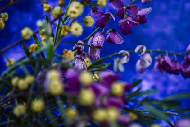 Bouquet of purple and yellow Australian native flowers