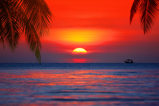Sunset on tropical island sea beach panorama, ocean sunrise panoramic landscape, palm tree leaves silhouette, colorful orange red sky, yellow sun reflection, blue water waves, summer holiday, vacation