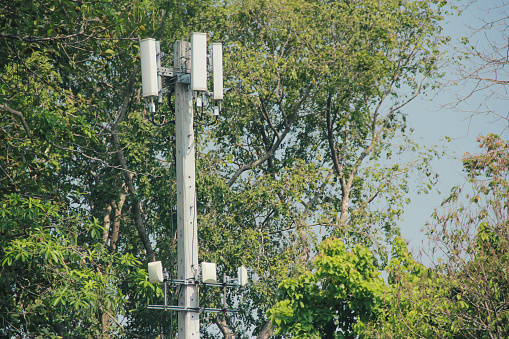 5G cell phone towers in forest areas