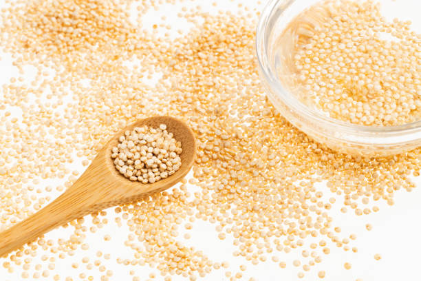 Chenopodium quinoa - Glass bowl with quinoa seeds mixed with water