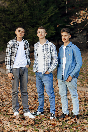 Three teenage boys, posing in nature, happy and having fun. Teenage classmates are resting against the background of an autumn forest.