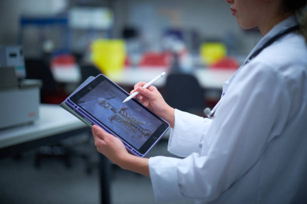 Medical student learns about anatomy and medicine using a tablet with stylus in a science laboratory