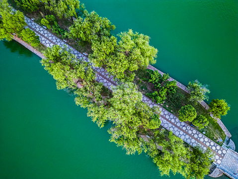 Aerial photography of park bridge and green plants