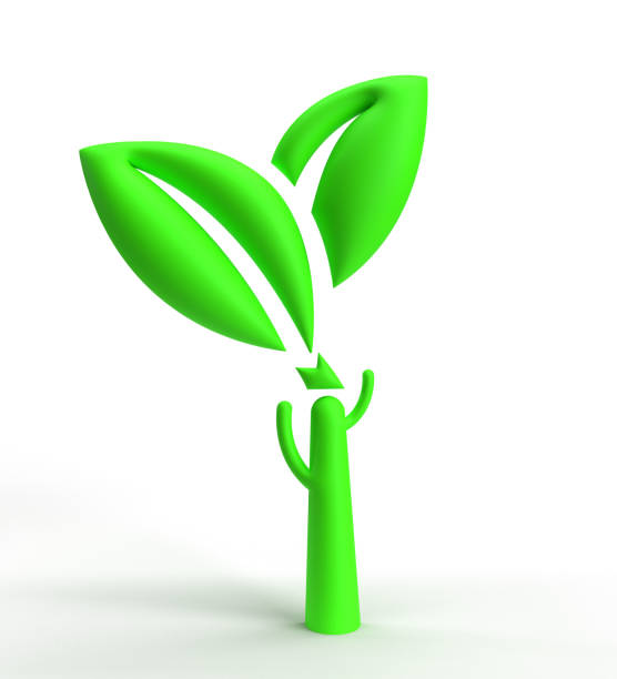 tree green nature environment plant environment concept earth protection global leaf ecology organic organic forest clean world planet bio development world environment day business idea object icon
