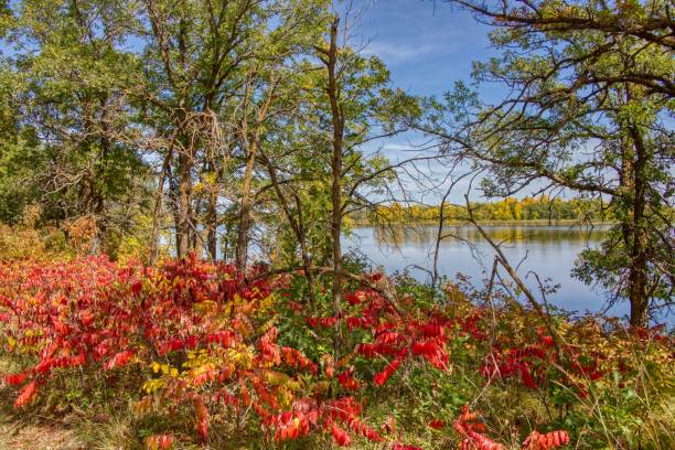 Lake Bronson State Park in North Western Minnesota