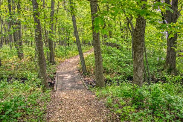 istock Rice Lake State Park is located in East Central Minnesota 2097971192
