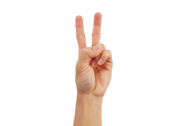 istock Hand gesture showing Here's the important part on a white background. 2098045174