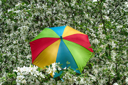 Girl with yellow umbrella