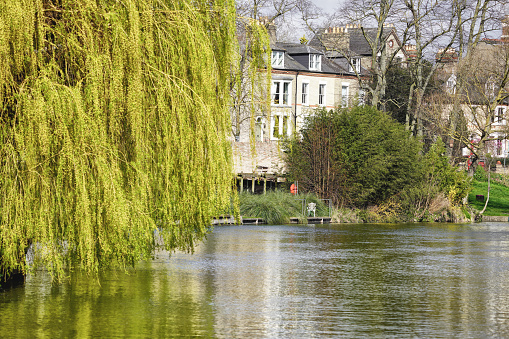 Cambridge, Cambridgeshire, England, The United Kingdom, Great Britain, Europe - March 18, 2024. This urban picture captures the traditional Cambridge buildings of the central Cambridge area, juxtaposed against the tranquil waters of the River Cam. A picturesque scene in the historic city centre. This photo was captured on Magdalene Street / Magdalene Bridge. Taken exactly at Bridge St, Cambridge CB2 1UJ, England.