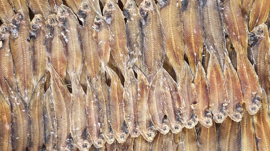 Lined up dried fish from the Philippines' fish market