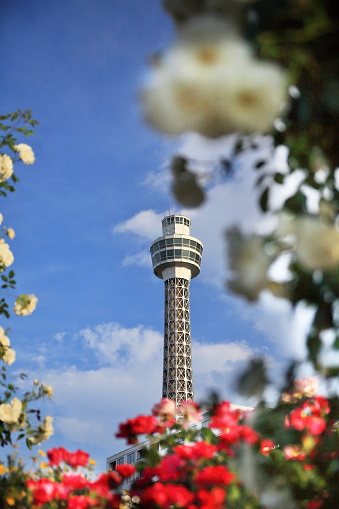 Tour Eiffel,Paris,spring,flowers