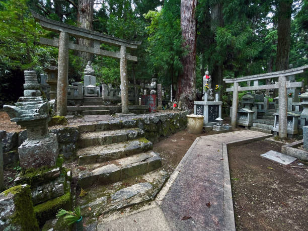 święta cisza: starożytny spokój na cmentarzu w koyasan, wakayama, japonia - cisza_ zdjęcia i obrazy z banku zdjęć