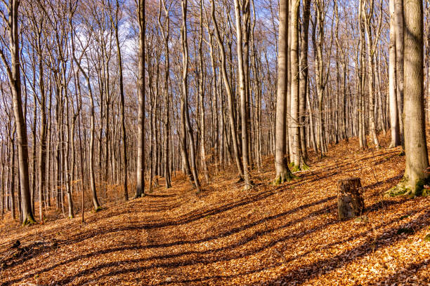 Spring hike through the unique Werra Valley near Vacha - Thuringia - Germany