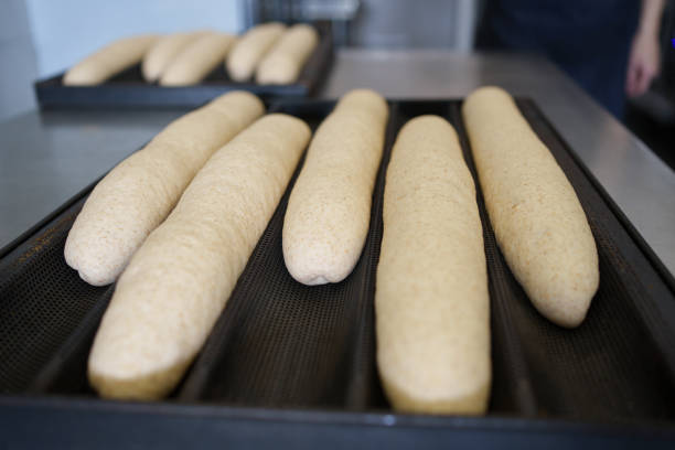 Unbaked whole wheat baguette
