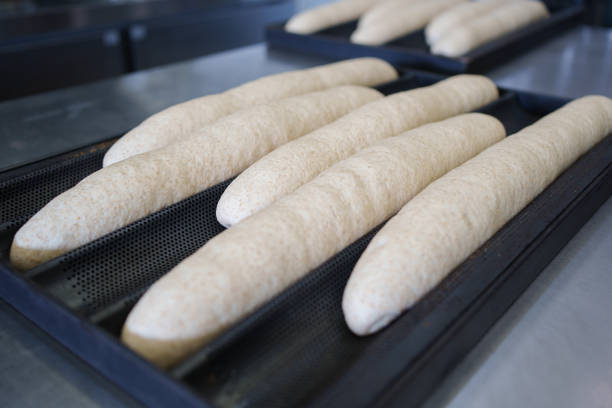 istock Unbaked whole wheat baguette 2098186817