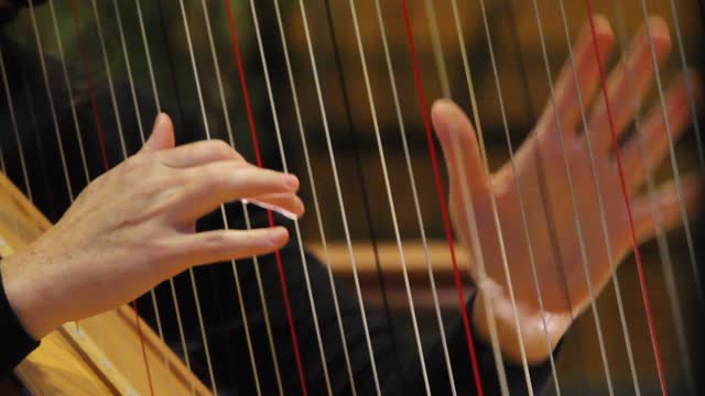 Woman's hands playing the harp as part of a symphony