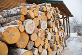 large pile of round firewood