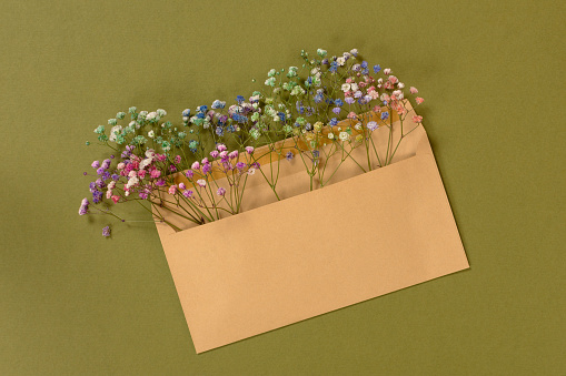 Flower composition green background. Top view of the envelope with flowers. The concept of beauty, romance, recognition of feelings. Postcard for Mother's Day Valentine's Day International Women's Day