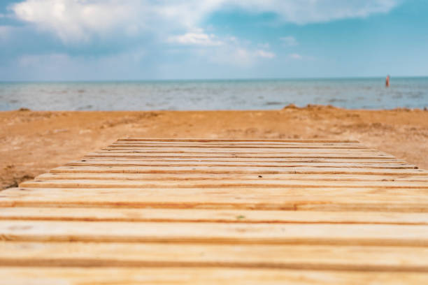 a wooden walking path in a lake