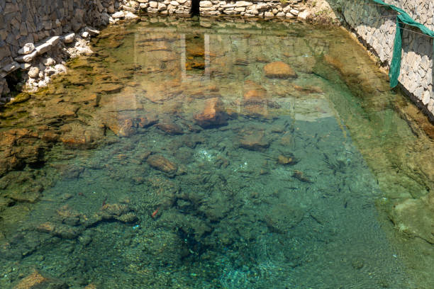 istock a crystal clear water in a pond with fish in a desert 2098320262