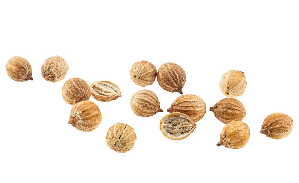 istock Dried coriander seeds isolated on a white background, macro. 2098323462
