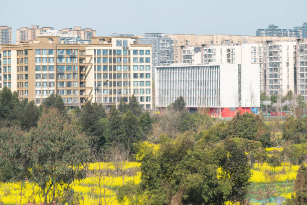 istock Sunny day city and trees 2098328737