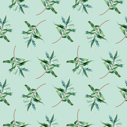 Watercolor seamless pattern with sea buckthorn leaves branches. Hand drawn botanical illustration on isolated background for wrapping, wallpaper, fabric, textile