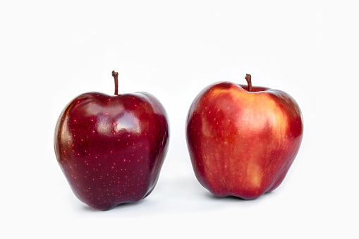 Two apples of the Red Delicious (Red Chief) variety on a white background isolated