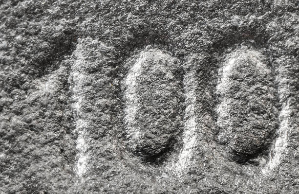 Grained stainless steel numbers 100 or one hundred on a piece metallic panel. Abstarct numeral background for design.