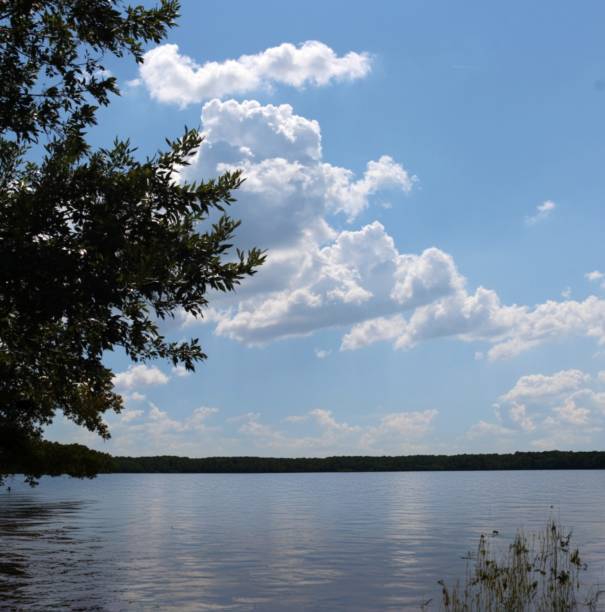istock Scenic view of Lake Conroe in Texas 2098372313