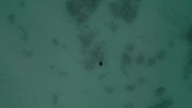 Top View Of A Boating Buoy Over Turquoise Sea. Aerial Shot