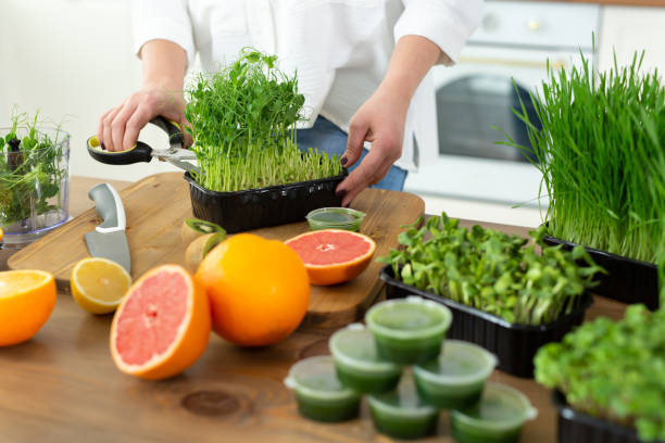 istock Woman's hands in the kitchen cutting ready-made microgreen peas for making a vitamin smoothie. 2098401830