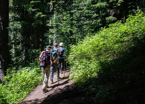 Three people hiking Summit Lake Trail at Mount Rainier National Park in summer. Washington State. USA.