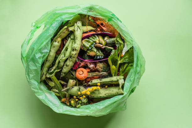 istock Garbage sorting. Organic food waste from vegetable ready for recycling and to compost in the corn based natural biodegradable bags on the green. Environmentally responsible behavior, ecology concept, green technology 2098455147