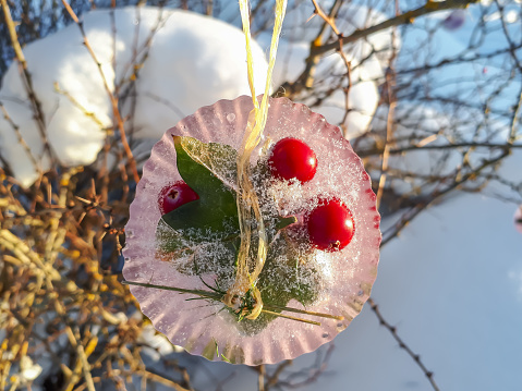 Flower and plant in ice from a mould in bright sunlight with visible bubbles in ice. Outdoor decorations in winter in the garden. DIY crafts
