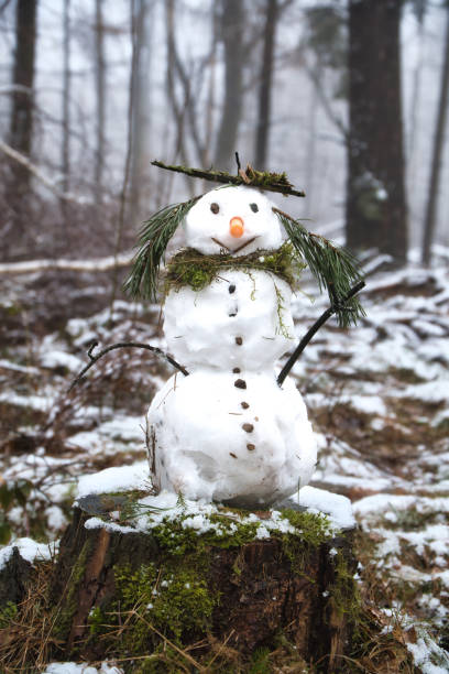 istock Snowman on a tree stump with carrot, buttons, branches, pine needles as hair 2098484717