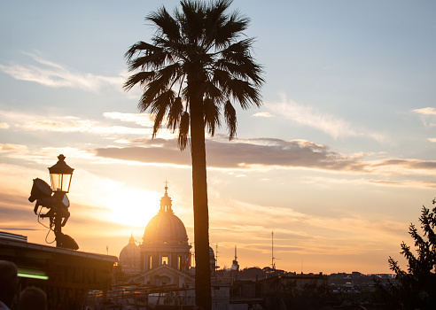 Cityscape of Rome at sunset, domes and palm tree