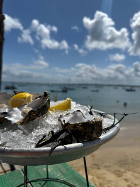 A beautiful bowl filled with a lot of of ice, with shiny fresh oysters on top of it, served with a some slices of lemon. Overlooking the Bassin d'Arcachon, known for its oyster farms.