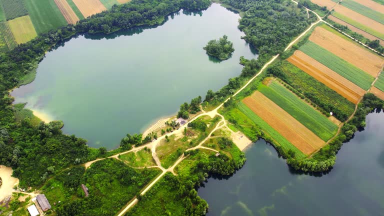 Beautiful aerial view of two lakes in the middle of agricultural field in summer