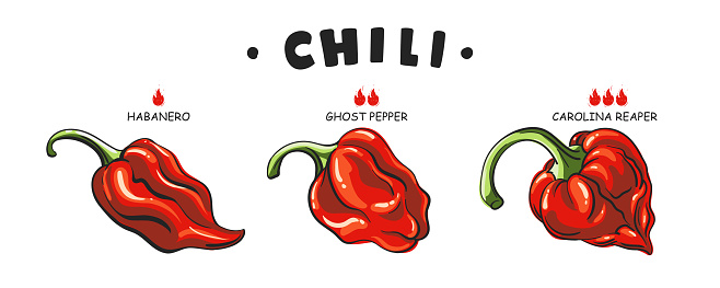 Set Spicy food or sauce taste scale indicators. Illustration red hot chili pepper. Carolina reaper, ghost pepper, habanero. Vector peppers with fire flames. Extra and mild taste.