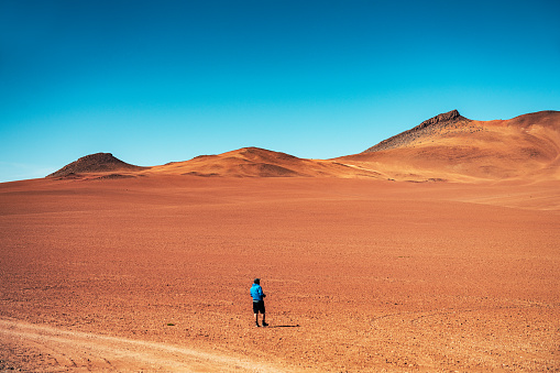 A solitary figure stands amidst the vast expanse of the Atacama Desert in Chile, showcasing the rugged terrain under a clear blue sky.
