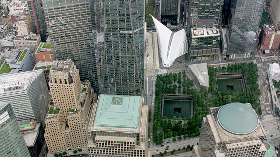 Street level view of Freedom Tower, One World Trade Center in New York City. With a tree in front of it and surrounding buildings visible.