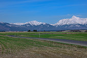 road with a view of the snow-covered mountains (High Tatras - Krivan)