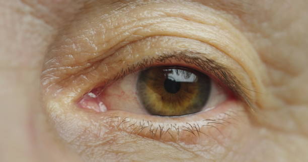 istock Macro shot of middle-aged woman's brown eye 2098623889