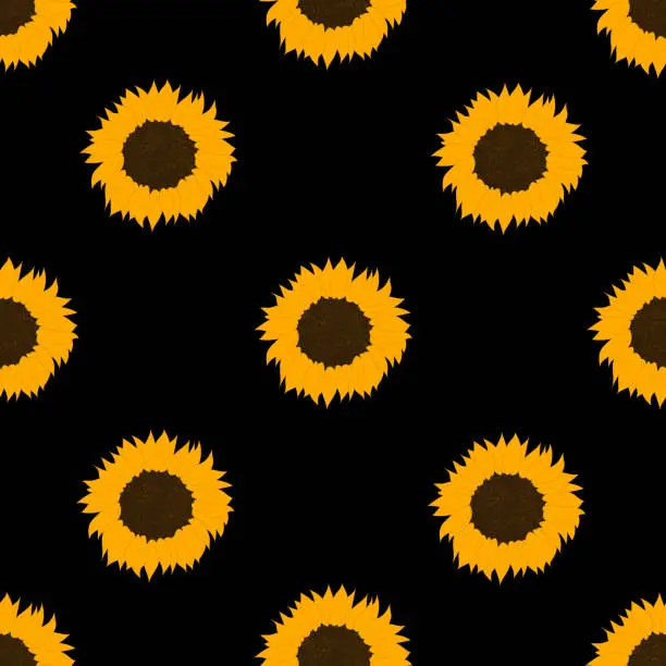 Vector illustration of sunflower pattern