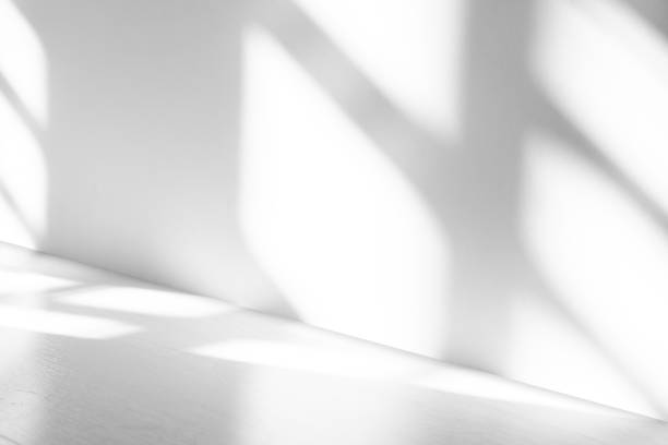 istock Wall interior background, studio and backdrops show products.with shadow from window color white . background for text insertion and presentation product 2098691620